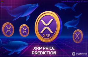 XRP Whales Are Accumulating: Is the Market Preparing for a Major Move?