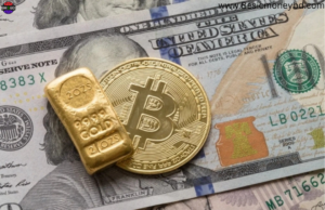 Bitcoin’s Correlation With Gold Surges Above 50% as Nasdaq Link Weakens
